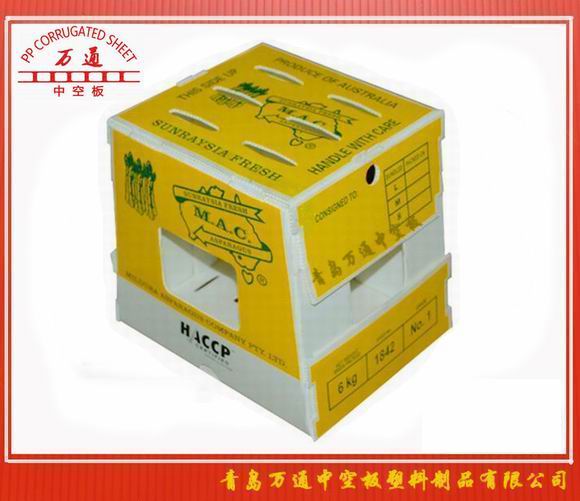 <strong>中空板蘆筍箱</strong>